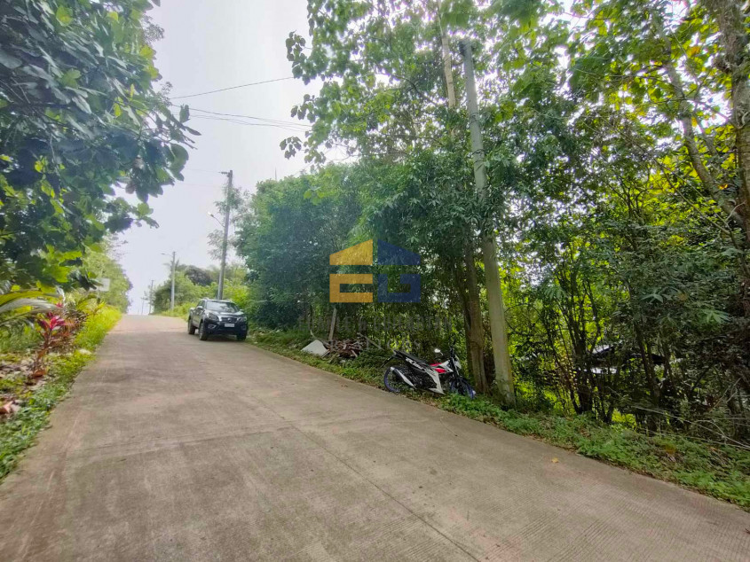 2 Lots For Sale - Tacunan, Davao City (Big Discount If The Buyer Gets The 2 Lots Together)