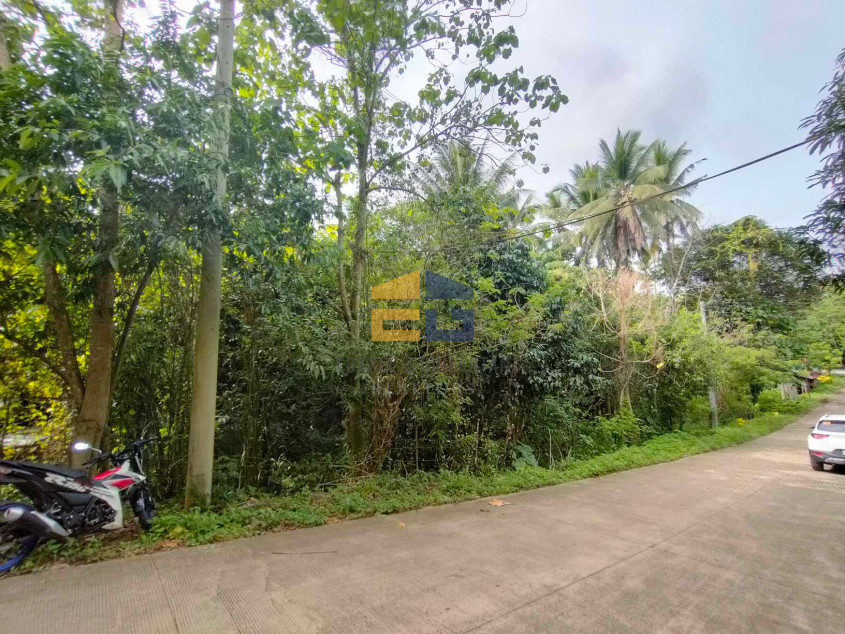 2 Lots For Sale - Tacunan, Davao City (Big Discount If The Buyer Gets The 2 Lots Together)