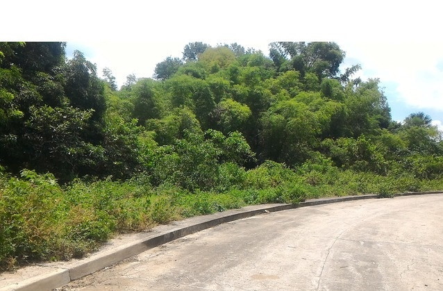 253 SQM Overlooking Residential Lot For Sale In Greenwoods Talamban Cebu