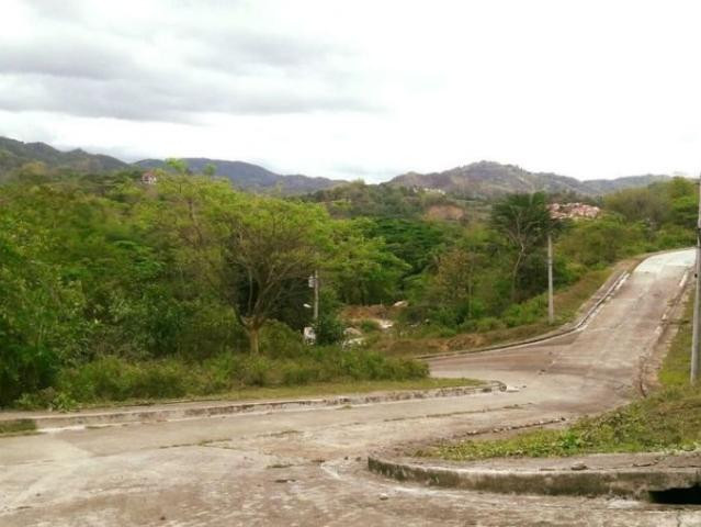 253 SQM Overlooking Residential Lot For Sale In Greenwoods Talamban Cebu