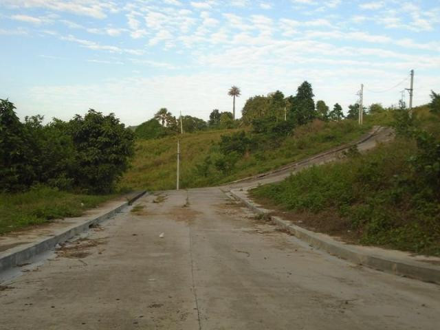 253 SQM Overlooking Residential Lot For Sale In Greenwoods Talamban Cebu