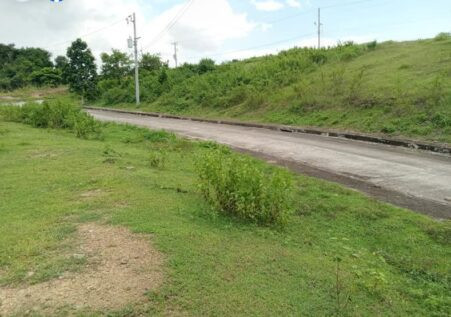 253 SQM Overlooking Residential Lot For Sale In Greenwoods Talamban Cebu