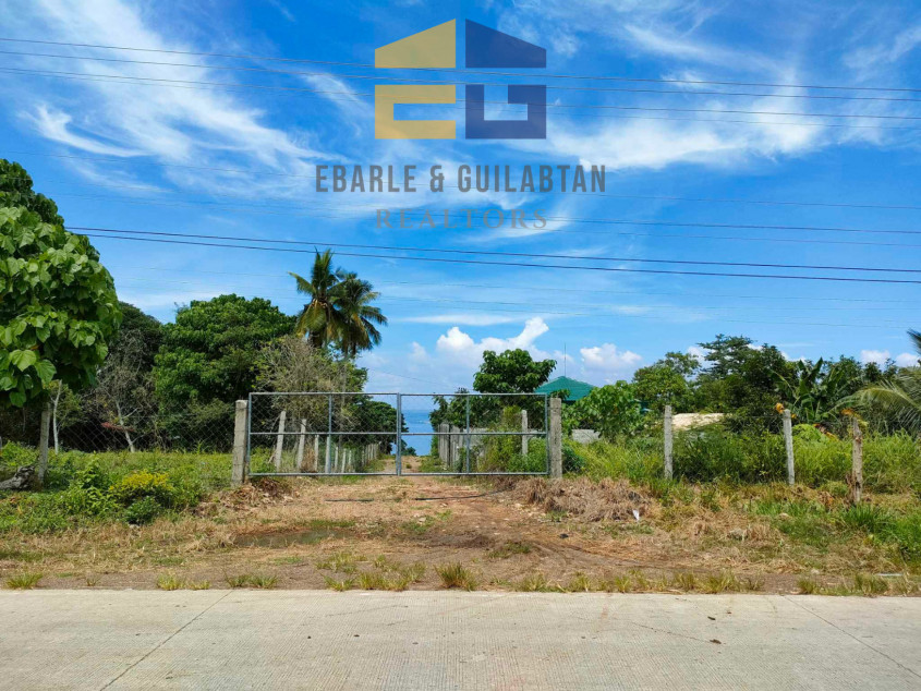 Residential Lots In Samal Island For Sale