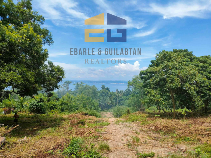 Residential Lots In Samal Island For Sale