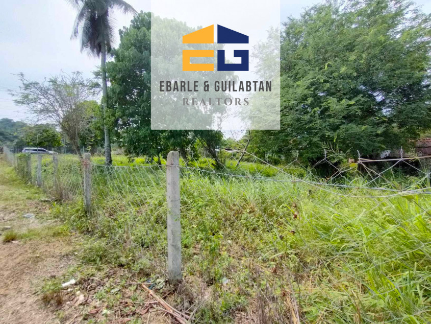 Residential Lots In Samal Island For Sale