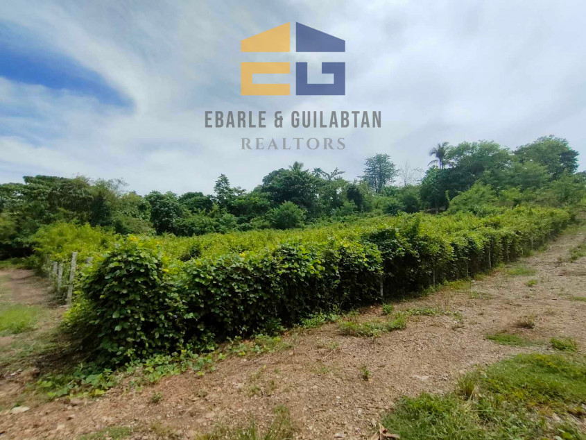 Residential Lots In Samal Island For Sale