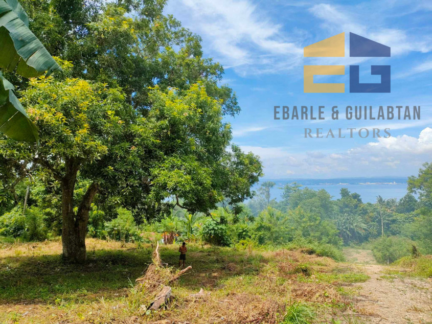 Residential Lots In Samal Island For Sale
