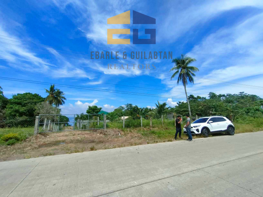 Residential Lots In Samal Island For Sale