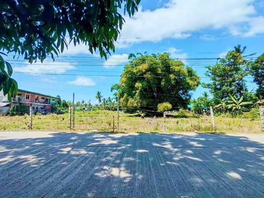 Vacant Lot In Panabo Davao Del Norte For Sale! (Just Within Downtown Area)