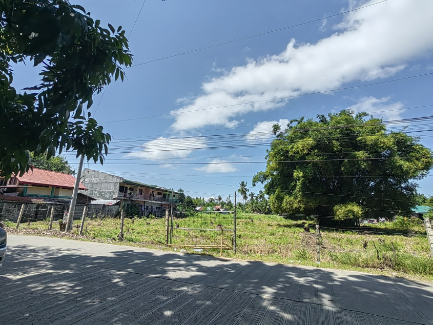 Vacant Lot In Panabo Davao Del Norte For Sale! (Just Within Downtown Area)