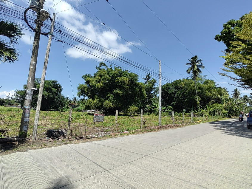 Vacant Lot In Panabo Davao Del Norte For Sale! (Just Within Downtown Area)