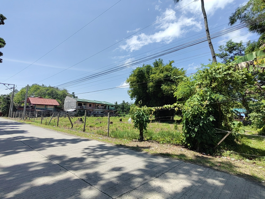 Vacant Lot In Panabo Davao Del Norte For Sale! (Just Within Downtown Area)