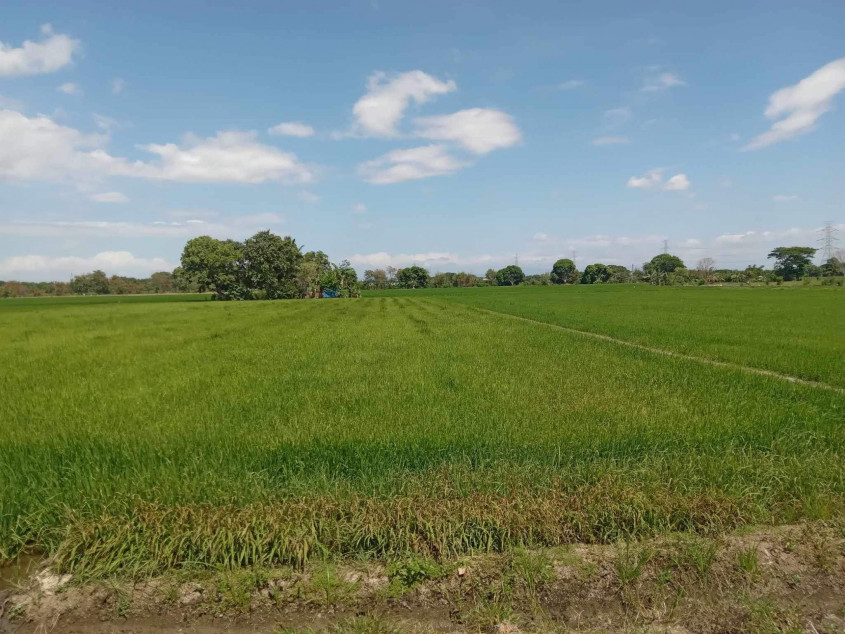 Land Property In Pulilan, Bulacan