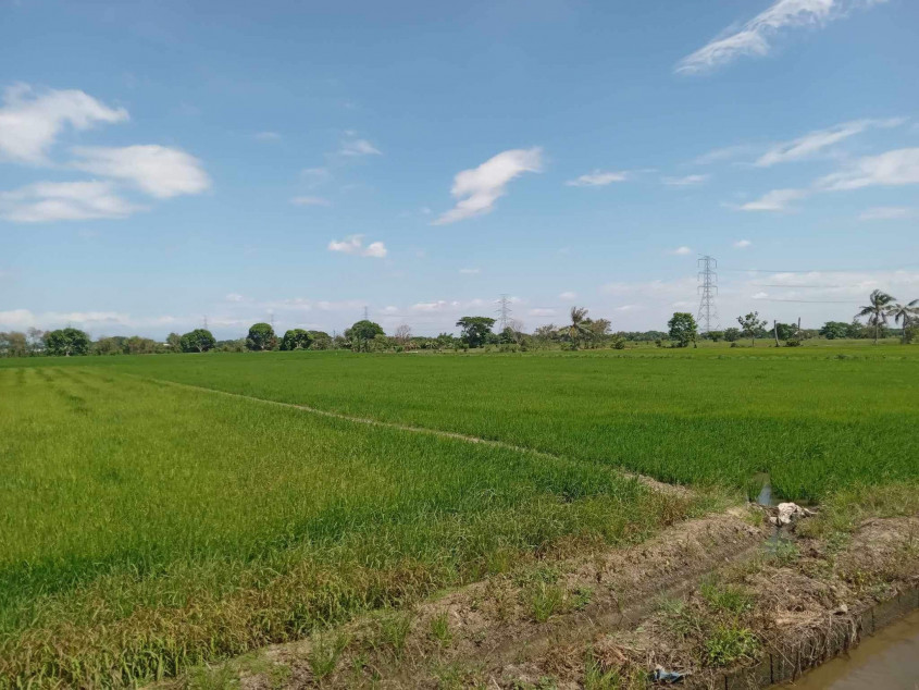 Land Property In Pulilan, Bulacan