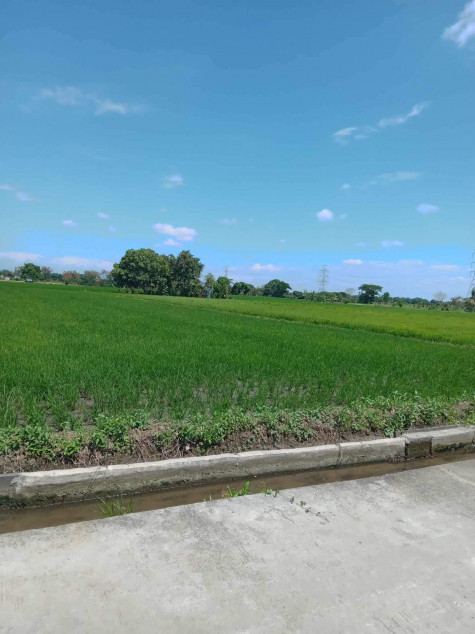 Land Property In Pulilan, Bulacan