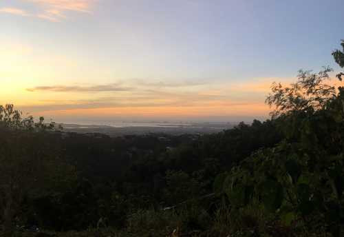 Prime Lot In Jardin De Busay Cebu City