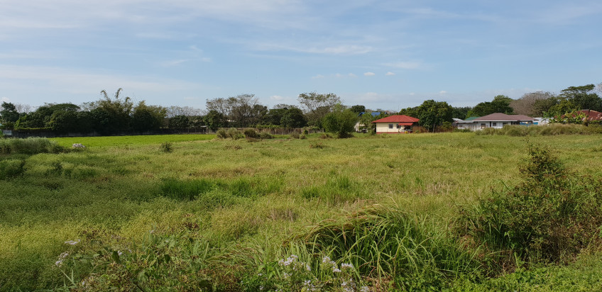 3-Hectare Agricultural Lot For Sale In San Rafael, Bulacan