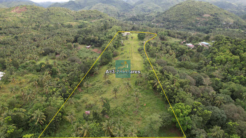 Serene Farm Lot For Sale With Stunning Sea View in Balamban, Cebu - Your Private Oasis Awaits!