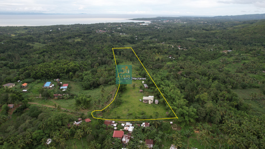 Serene Farm Lot For Sale With Stunning Sea View in Balamban, Cebu - Your Private Oasis Awaits!