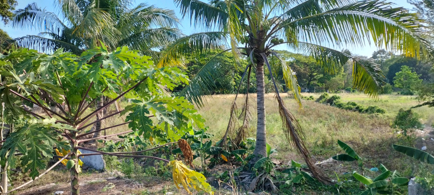 Lot Beside The Entrance Of Iloilo International Airport