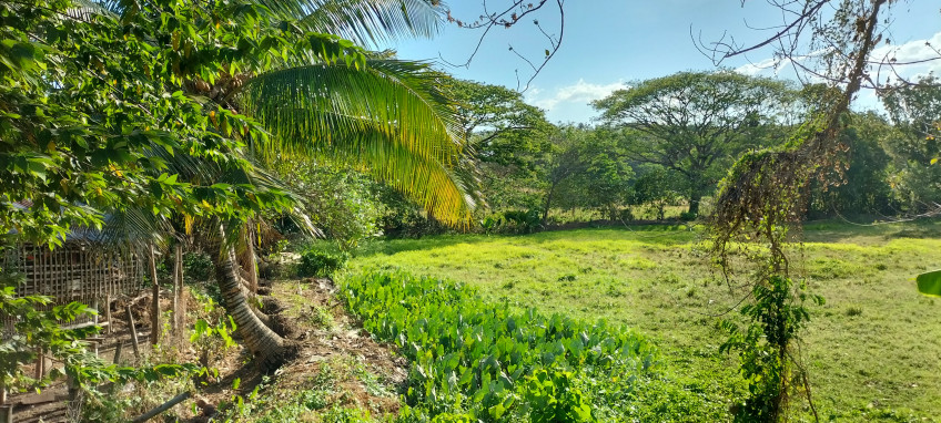 Lot Beside The Entrance Of Iloilo International Airport