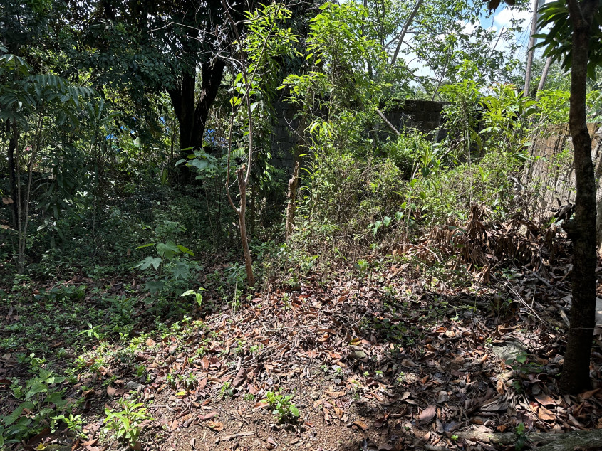 Agricultural/Residential Land In Santa Maria, Bulacan