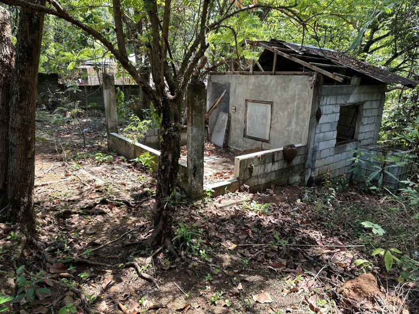 Agricultural/Residential Land In Santa Maria, Bulacan