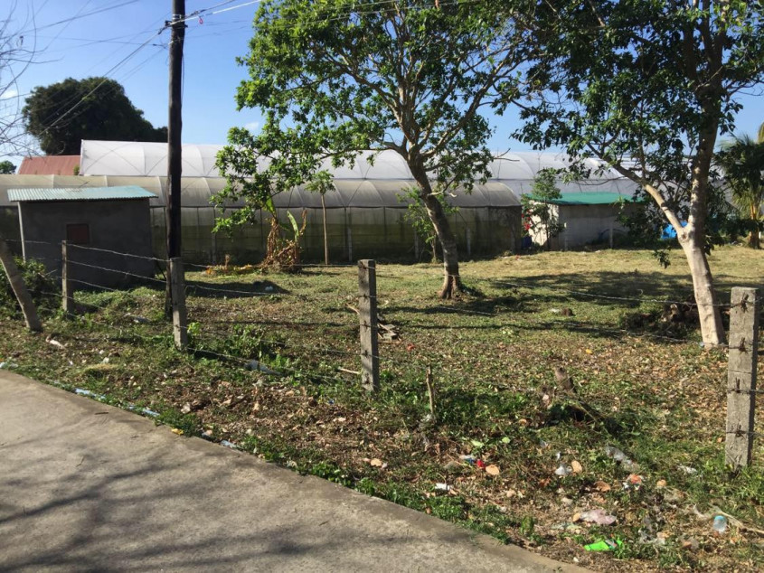 Lot For Sale Buck Estate Alfonso Cavite