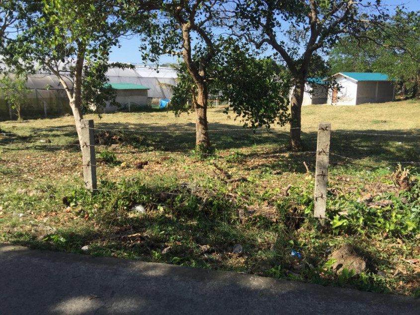 Lot For Sale Buck Estate Alfonso Cavite