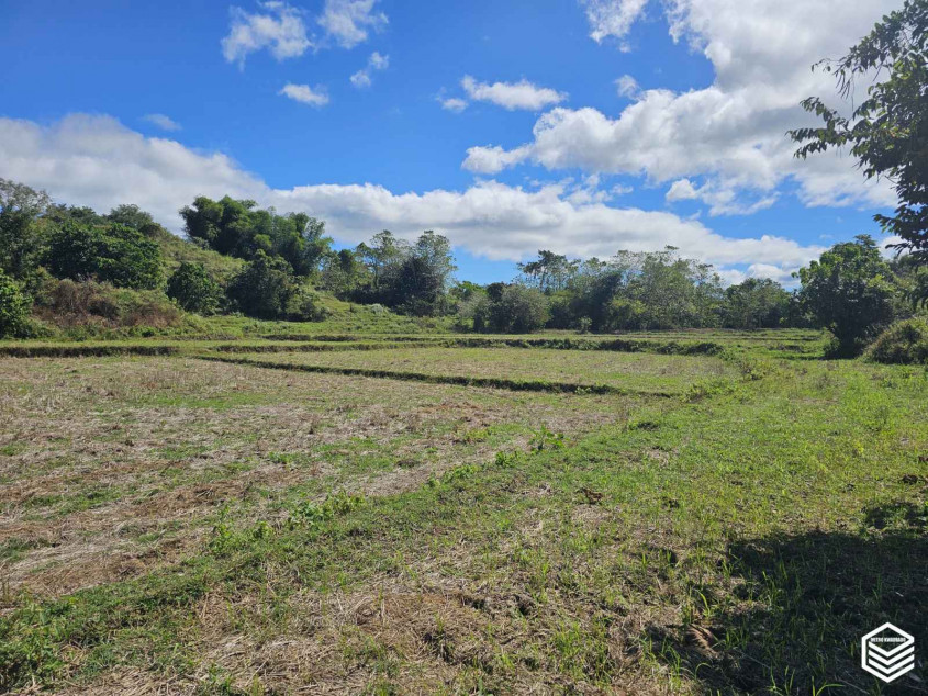 Sapang Dayap Property In San Ildefonso, Bulacan