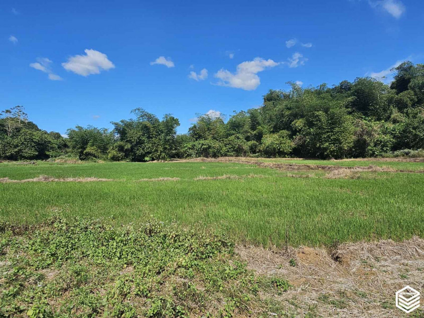 Sapang Dayap Property In San Ildefonso, Bulacan