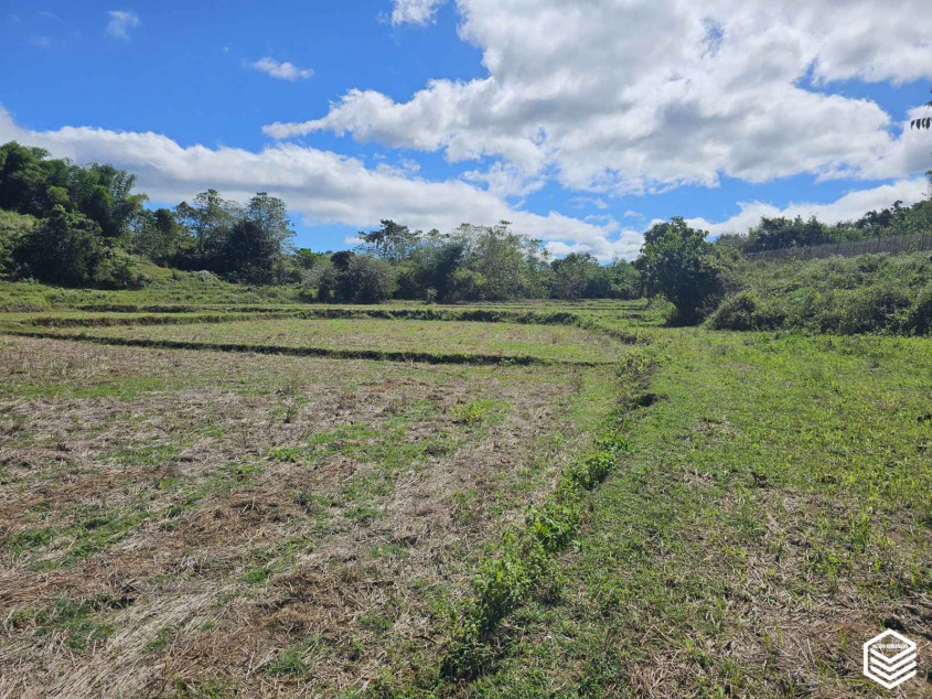 Sapang Dayap Property In San Ildefonso, Bulacan