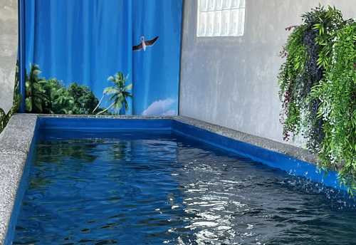 Pool Home Two-Storey House On Corner Lot In San Fernando, Pampanga