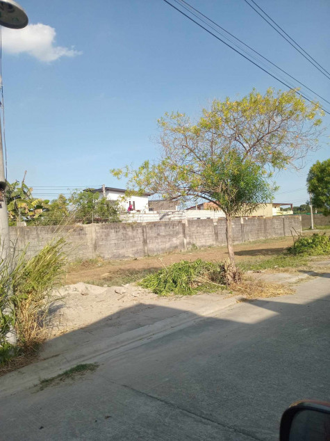 130 SQM Lot In San Fernando, Pampanga (Residential Lot - Walking Distance From Main Highway)