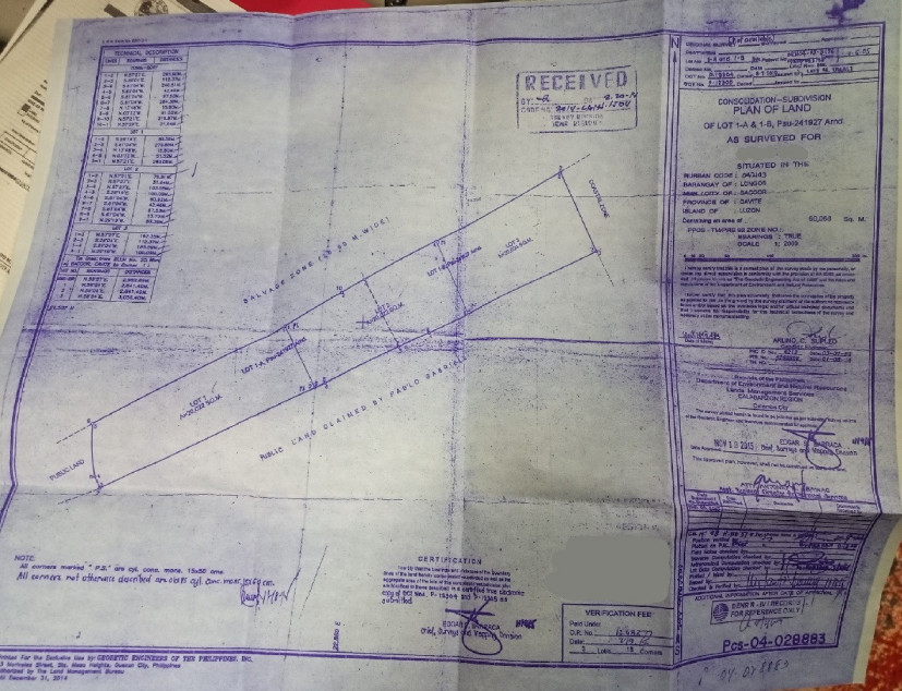 6 Hectares Land In Bacoor, Cavite