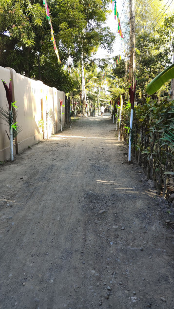 Land For Sale Near Inopacan City Proper, Leyte