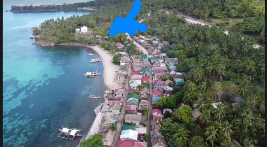 4.3 Hectares Beach Property For Sale - Matnog, Sorsogon