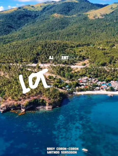 4.3 Hectares Beach Property For Sale - Matnog, Sorsogon