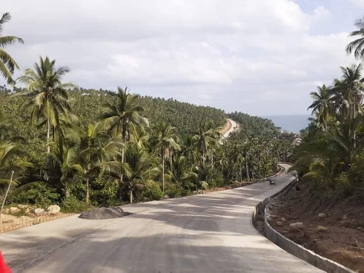 4.3 Hectares Beach Property For Sale - Matnog, Sorsogon