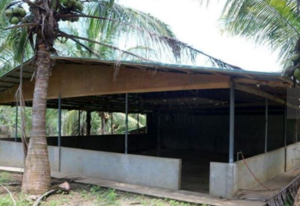 Lot For Lease Near Light Science Park Malvar Batangas