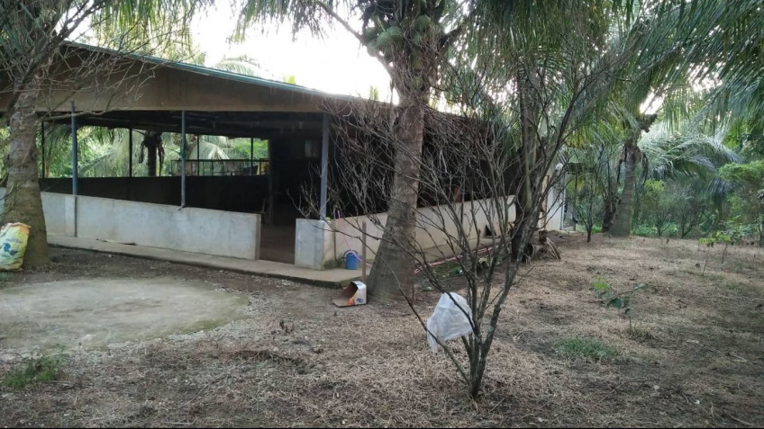 Lot For Lease Near Light Science Park Malvar Batangas