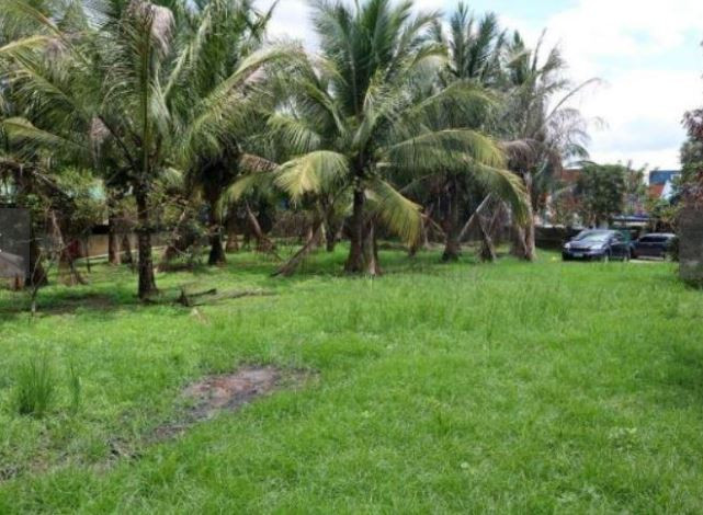 Lot For Lease Near Light Science Park Malvar Batangas