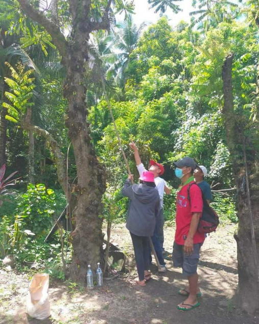 Huge Land For Sale in Lobo Batangas