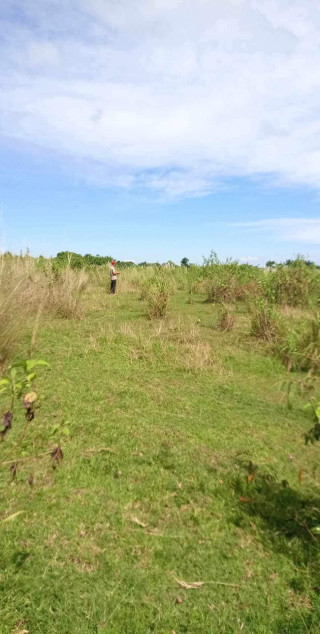 For Sale: 5.4 Hectare Farm Land In San Miguel, Bulacan
