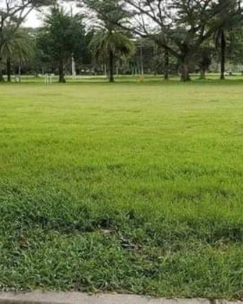 Davao Riverfront Commercial Lot