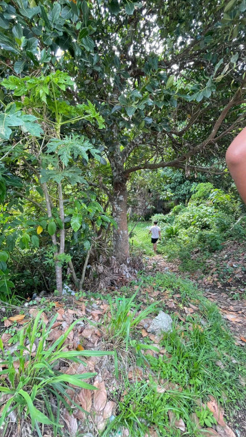 Lot For Sale In Sungay, Talisay Near Tagaytay