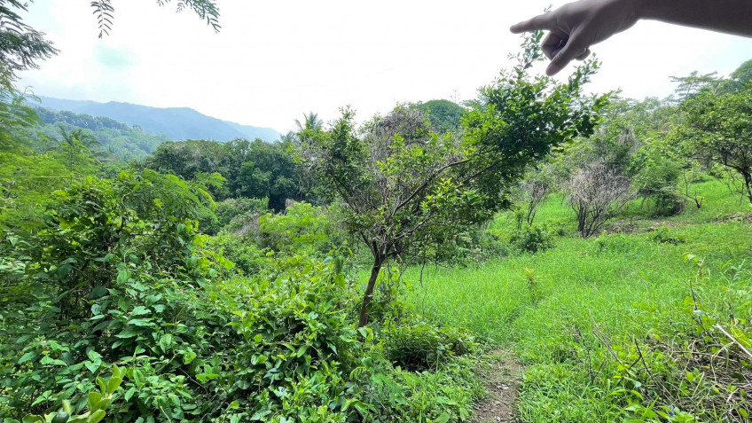 Lot For Sale In Sungay, Talisay Near Tagaytay