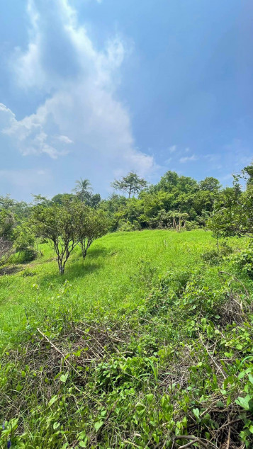 Lot For Sale In Sungay, Talisay Near Tagaytay