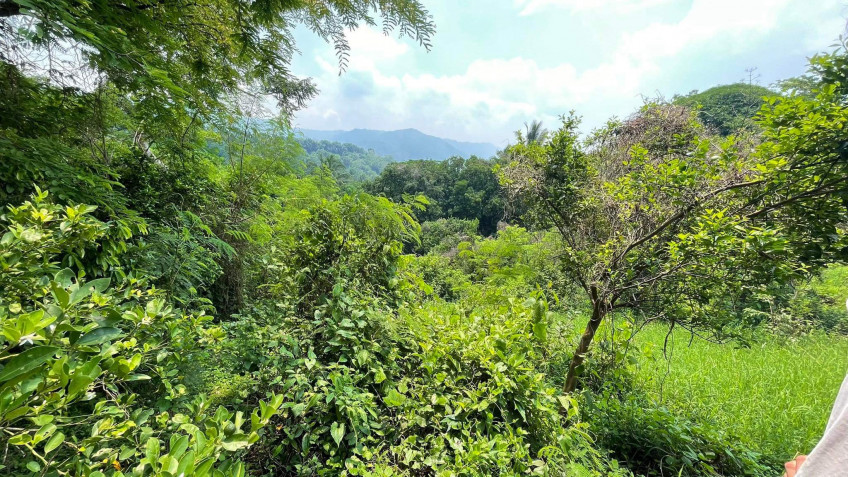 Lot For Sale In Sungay, Talisay Near Tagaytay