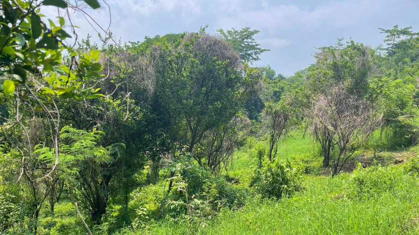 Lot For Sale In Sungay, Talisay Near Tagaytay